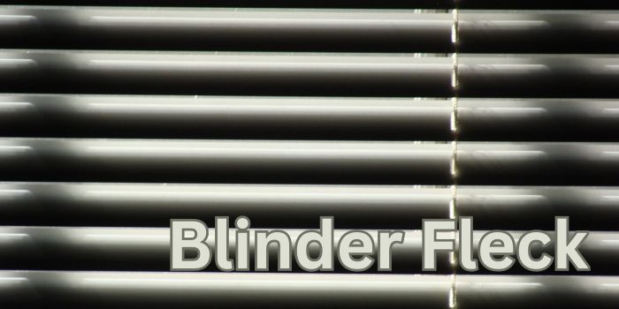 Kino: Blinder Fleck