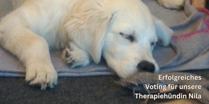 Erfolgreiches Voting für unsere Therapiehündin NIla